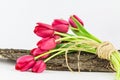 Garden tulips tied with raffia