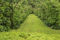 Garden tunnel Royalty Free Stock Photo