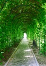 A garden tunnel Royalty Free Stock Photo