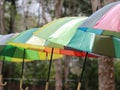 Garden umbrella, umbrella with colorful design