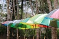 Garden umbrella, umbrella with colorful design