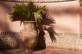 Garden urn with palm leaves Royalty Free Stock Photo