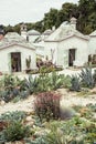 Garden with various cacti and greenhouses Royalty Free Stock Photo