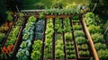 Garden with vegetable beds, top view. Rows of vegetable beds