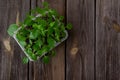 Garden and vegetable garden .Spring planting.Fresh young pepper sprouts in a box.Green seedlings on a rustic wooden table.Green