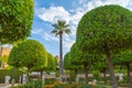 Garden view, Cordoba.