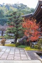 Garden view inside Saihoji Temple in Autumn with red maple trees and ancient buildings Royalty Free Stock Photo