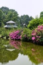 Garden view with lake and flower Royalty Free Stock Photo