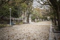 Garden view promenade, autumn day in park,parque alameda.Santiago de Compostela,Spain. Royalty Free Stock Photo