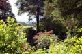 Garden View to Poole at Compton Acres, Dorset