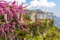 Garden of the villa Rufolo, Amalfi coast, Ravello, Italy Royalty Free Stock Photo