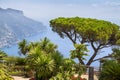 Garden of the villa Rufolo, Amalfi coast, Ravello, Italy Royalty Free Stock Photo