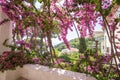 Garden of the villa Rufolo, Amalfi coast, Ravello, Italy Royalty Free Stock Photo