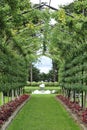 Garden walkway with pergola Royalty Free Stock Photo