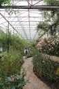 The Garden walkway in the Royal Rose Garden