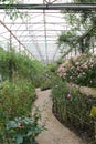 The Garden walkway in the Royal Rose Garden