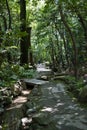 The garden walkway of Shinen inside the Heian-Jingu shrine. Kyoto Japan Royalty Free Stock Photo