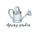 Garden water can vector drawing