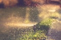 Automatic water spray in garden and water droplets over grass