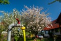 Garden water tap with a yellow hose at a residential home at springtime Royalty Free Stock Photo