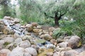 Garden Waterfall at King's Park Royalty Free Stock Photo