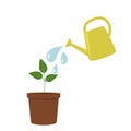 A garden watering can pours water on a flower growing in a ceramic pot