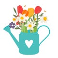 Garden watering can with spring flowers tulips and daffodils. Vector Illustration EPS10 Royalty Free Stock Photo