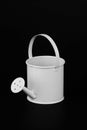 Garden watering can