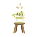 Garden watering can and yellow-green chrysanthemum flowers with green leaves, butterflies on a white background. Royalty Free Stock Photo