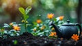 garden watering In fertile soil with new fresh green plant. Royalty Free Stock Photo