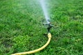 Garden watering grass. watering the lawn, flowers and trees. Sprinkler head watering. Royalty Free Stock Photo