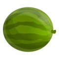 Garden watermelon icon, cartoon style Royalty Free Stock Photo