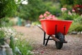 Garden wheelbarrow Royalty Free Stock Photo