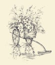 Garden wheelbarrow with flowers