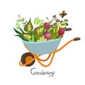 Garden wheelbarrow with flowers isolate on a white background. Vector graphics