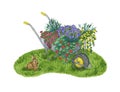 A garden wheelbarrow full of flowers stands on a green lawn with a small rabbit Royalty Free Stock Photo