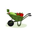 Garden wheelbarrow full of fresh vegetables. Healthy farm food. Organic products. Colorful flat vector design