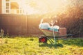 garden wheelbarrow with garbage bags and rakes standing on the grass near the fence in the warm glow