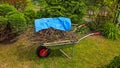 Spring cleaning works in the garden, load wheelbarrows with cut branches Royalty Free Stock Photo