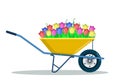 Garden wheelbarrow with spring flowers.