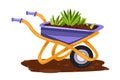 Garden wheelbarrow vector farming tool cartoon illustration with dirt, seedling, green leaves isolated on white.