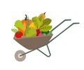 Garden wheelbarrow with vegetables and fruits vector