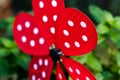 Garden whirligig abstract red with white ladybug dots