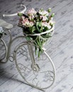 Garden white bicycle with a a basket of flowers roses Royalty Free Stock Photo
