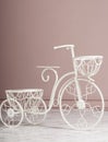 Garden white tricycle with a basket Royalty Free Stock Photo