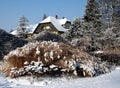 Garden in winter