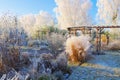 Garden in winter with hoarfrost on a cold day Royalty Free Stock Photo