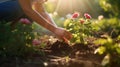 garden woman planting flowers