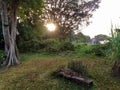 Garden at Woodleigh park forest