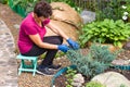 Garden work. Positive senior woman cutting coniferous plant using a hedge shears on her backyard